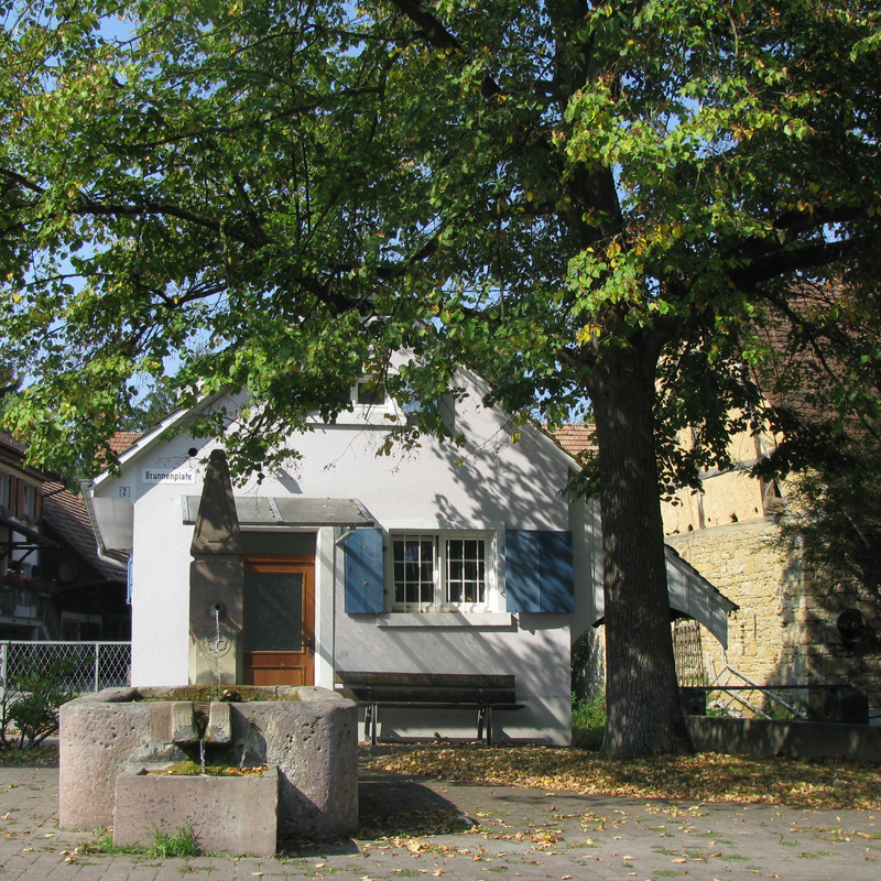 Ein kleiner Brunnen steht vor einem weißen Gebäude mit blauen Fensterläden und einem großen Baum, umgeben von herbstlichen Blättern auf dem Boden.
