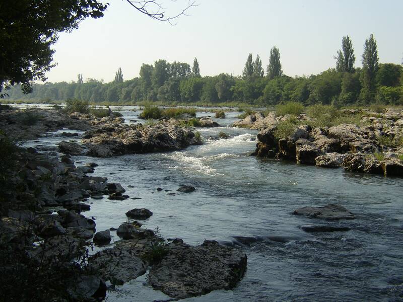 Ein breiter Fluss fließt durch eine von Bäumen und felsigen Ufern gesäumte Landschaft.