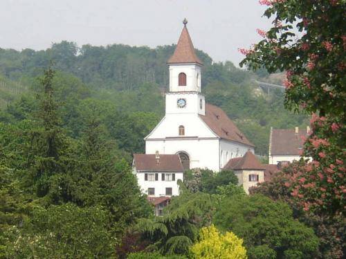 Eine weiße Kirche mit einem roten Turmdach und einer Uhr steht inmitten üppiger grüner Bäume und Vegetation.