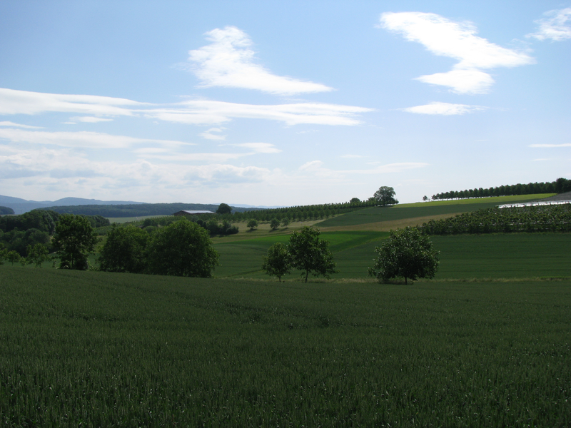 Das Bild zeigt eine weite Landschaft mit grünen Feldern, vereinzelten Bäumen und einem blauen Himmel mit einigen Wolken.